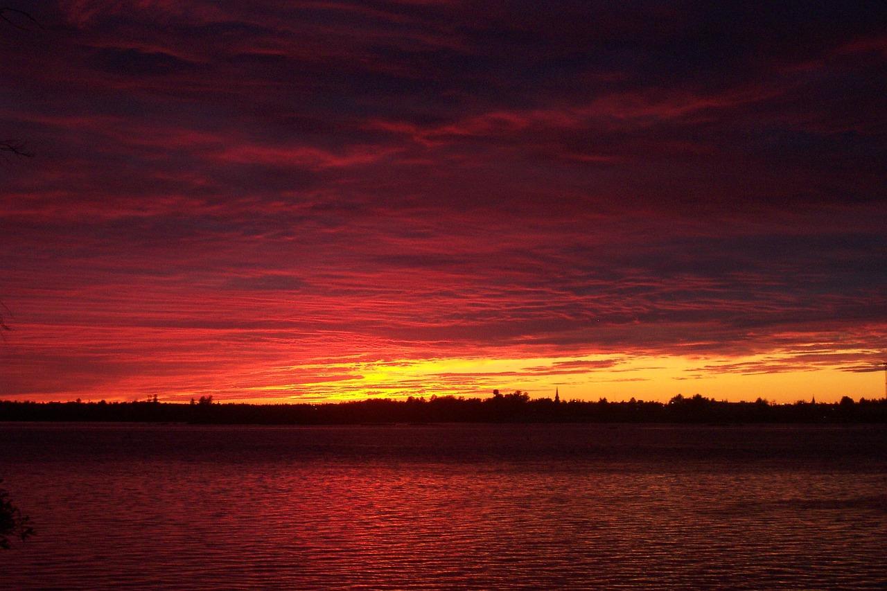 鱼池如何避免太阳直射