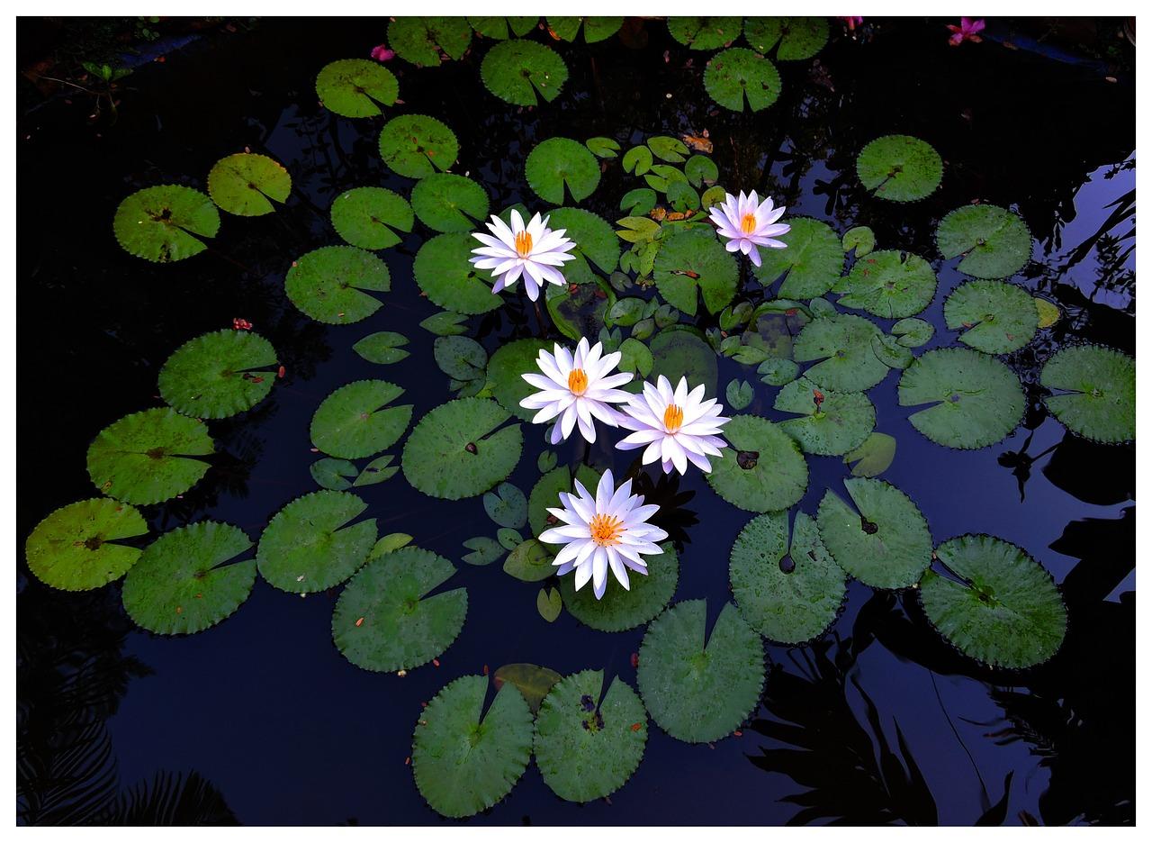 4. 品质教育环绕