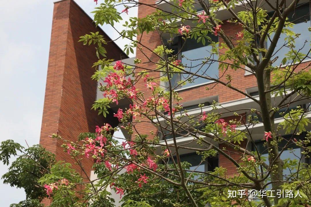 解锁华工校园 | 滴！华南理工大学国际校区已到达~ - 知乎
