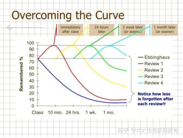 学了忘,忘了学?| 三个阶段六个技巧,教你成为记忆高手 - 知乎