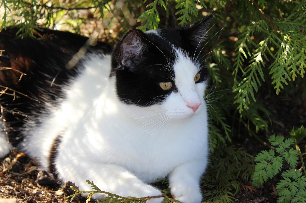 1. 阴凉柜湿度标准