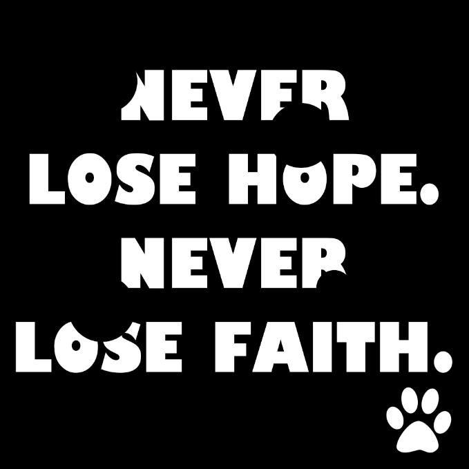 Signed Distance Field - 知乎