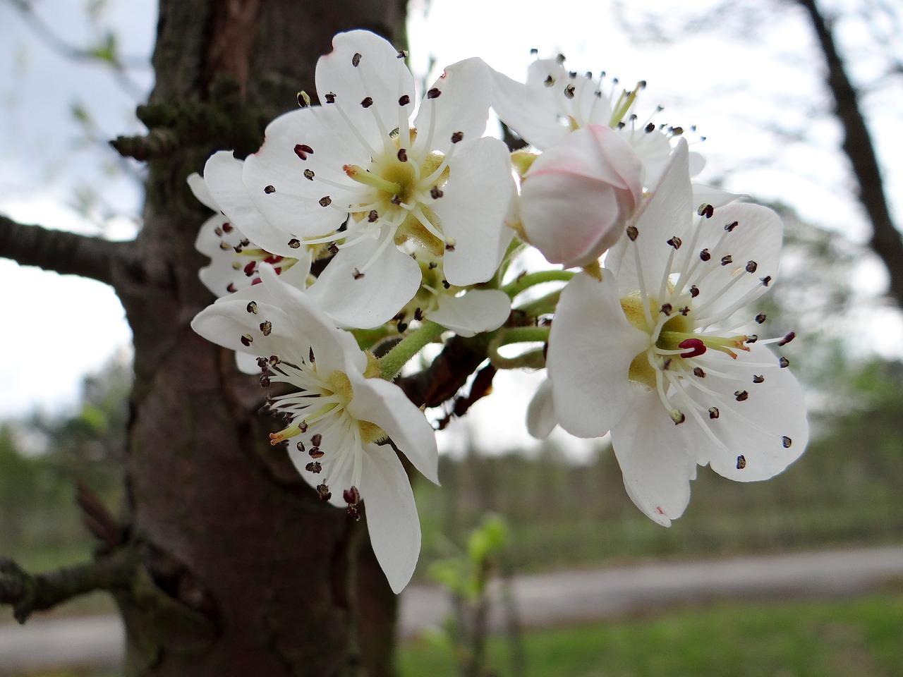 4. 播种方法与深度