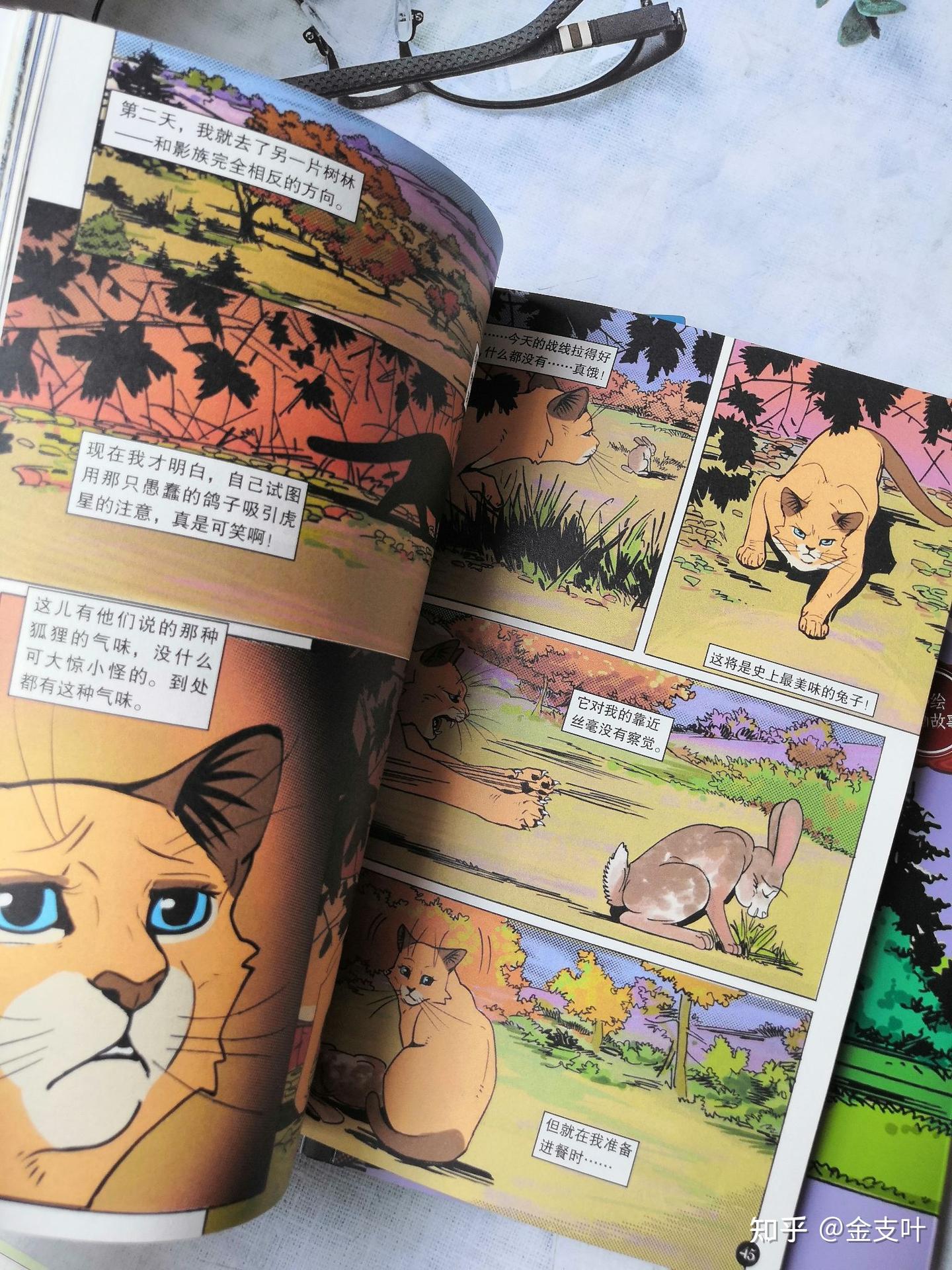 《猫武士》:猫武士的责任与正义,写给孩子们的励志传奇 - 知乎