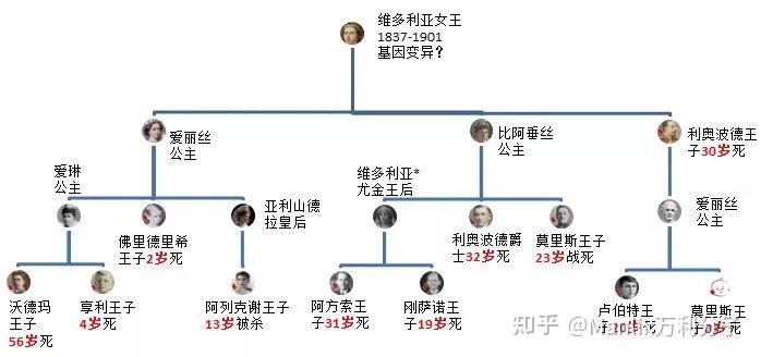 歐洲王室經常近親結婚按理說應該遺傳病高發為什麼歷史上大多數歐洲