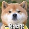 user-profile-image