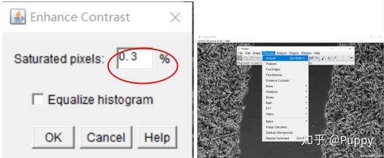 科研干货 | 教你如何玩转多功能处理工具Image J - 知乎
