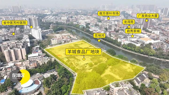 芜湖!保利、中海砸场!花地湾,打起来打起来 - 知乎