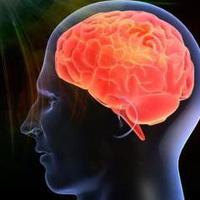 智商140以上的人会怎样感知世界？