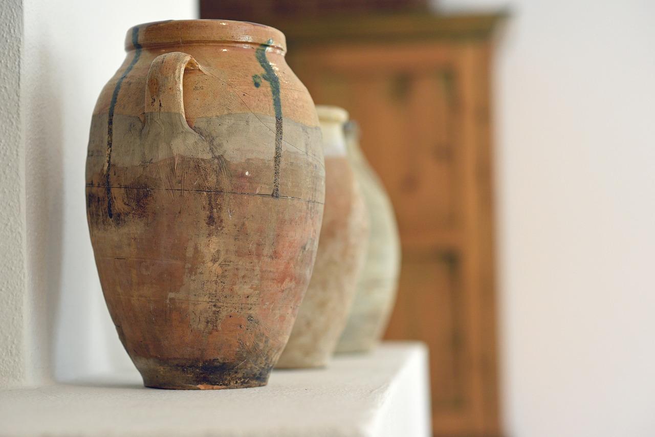 4. 花盆美颜秘籍