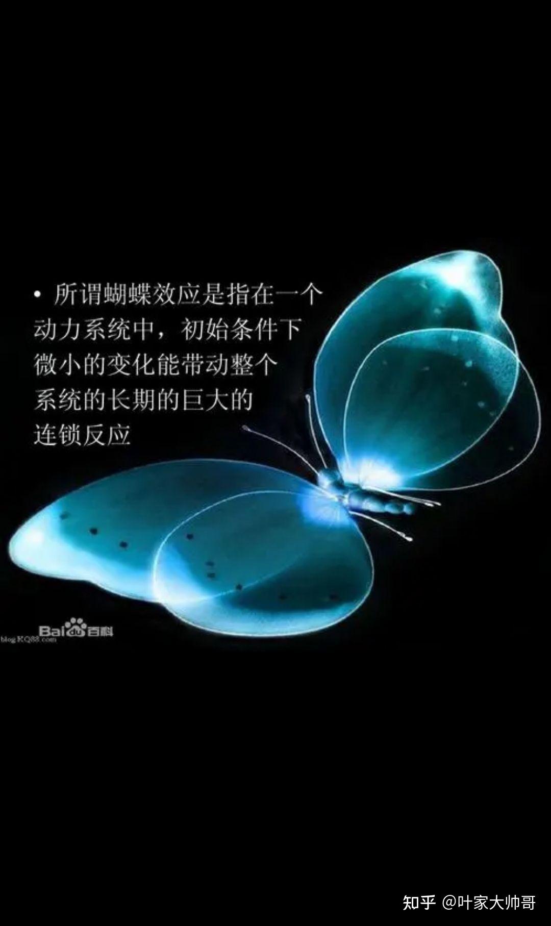 蝴蝶效应之倒霉篇- 知乎