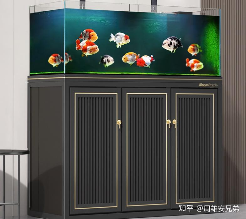 鱼缸过滤系统选择_鱼缸材质与容量选择_鱼缸冲浪泵会影响鱼吗