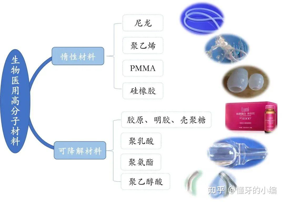 【干货】带你掌握关键生物医用材料及应用 - 知乎