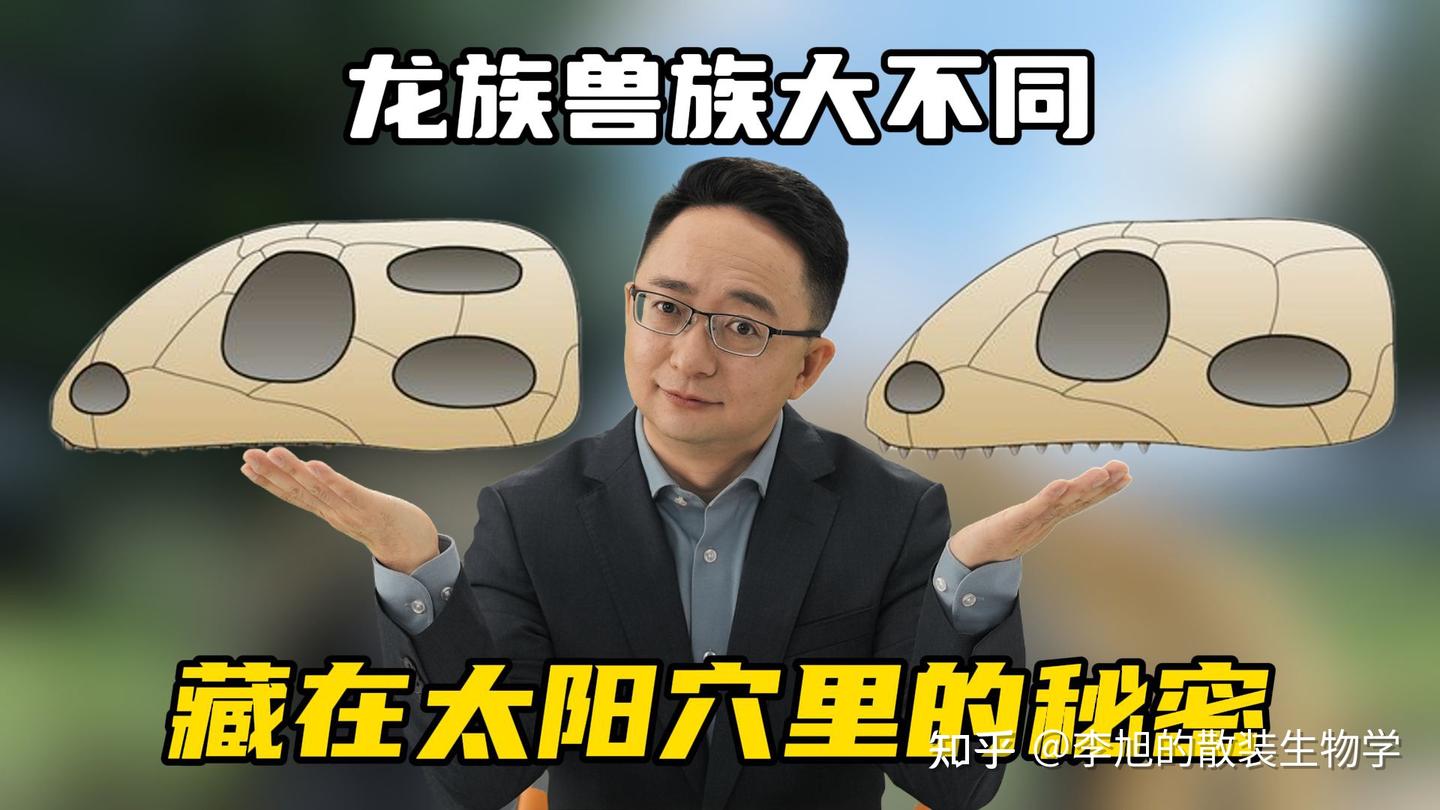 轻轻一摸、万无一失!教你如何快速分辨龙族兽族 - 知乎