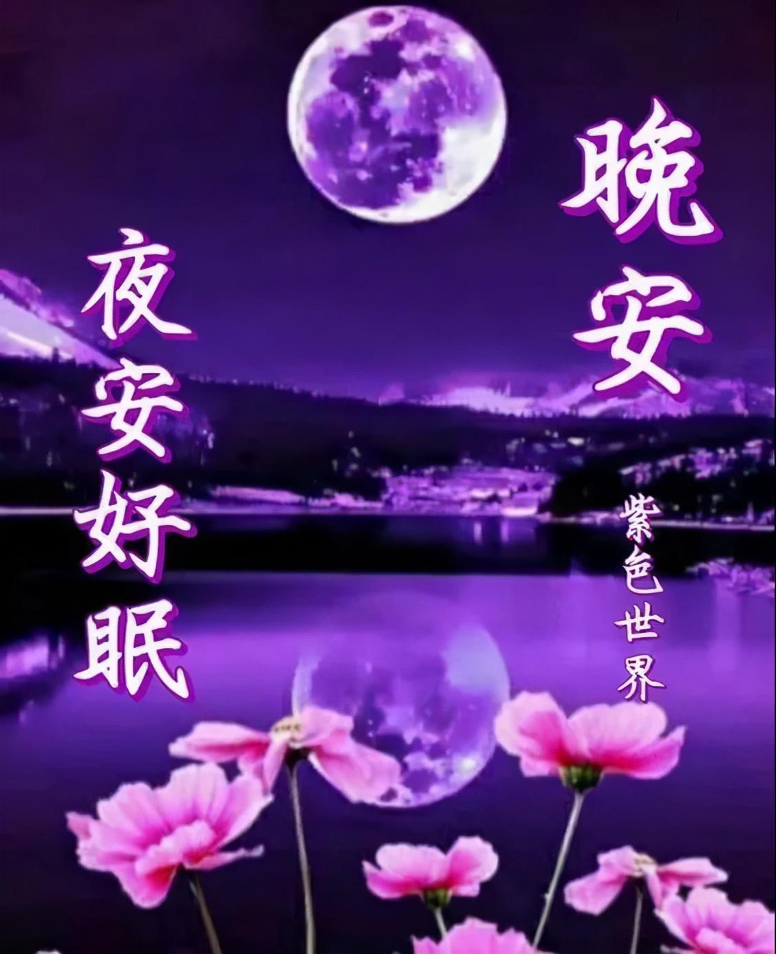 晚安温馨句子,朋友圈暖心的晚安说说 - 知乎