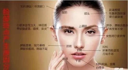 v2-6375d808d1c542c1852dc5a77b9ef46b_1440w.jpg?source=172ae18b