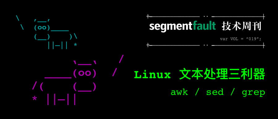 segmentfault-vol-19-linux