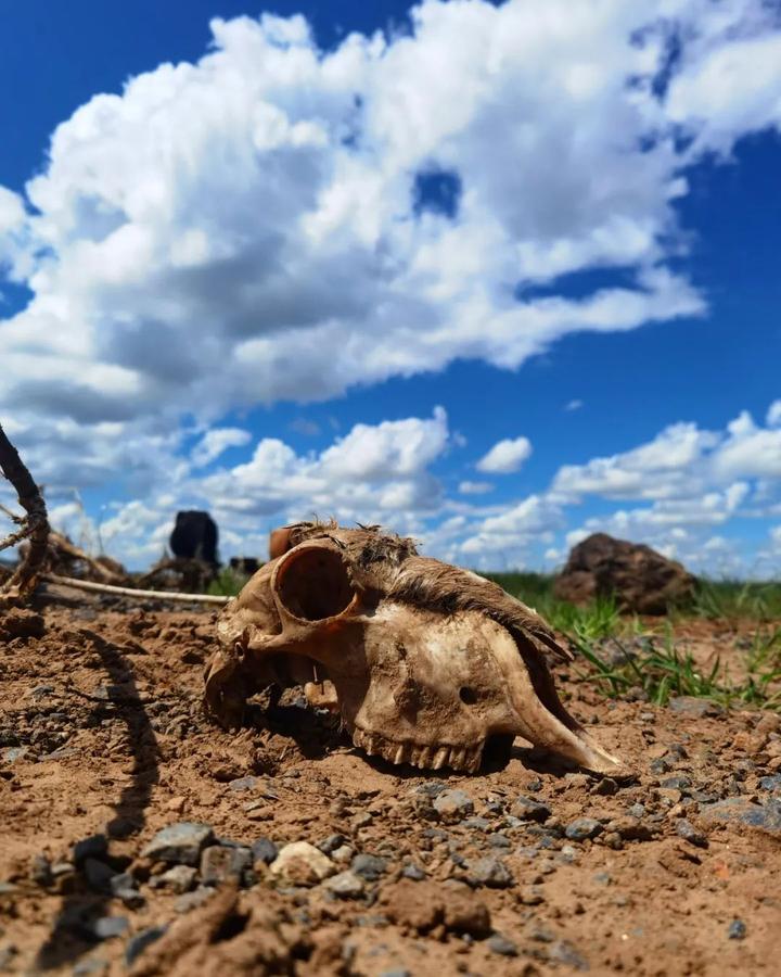 v2-637d85406356e995518ce30213bb34ed_720w