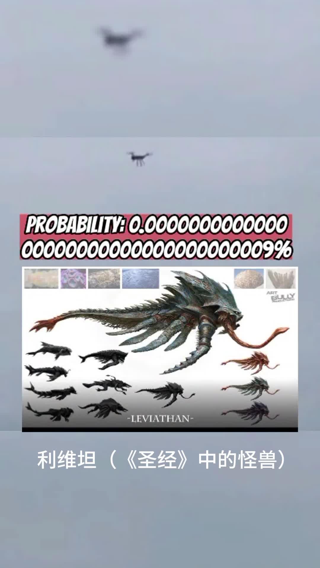 外国小哥海洋上空拍到圣经巨型怪物利维坦leviathan象征邪恶的一种