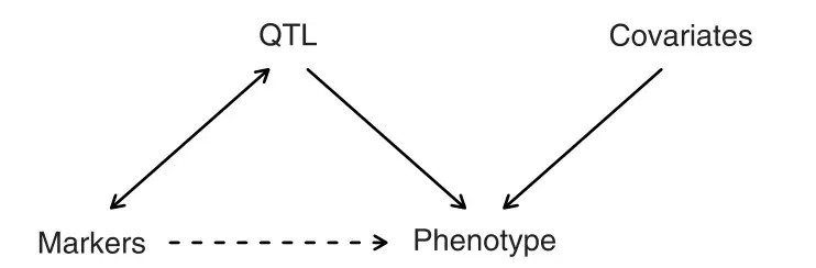 作物遗传图谱构建及QTL定位技术 - 知乎