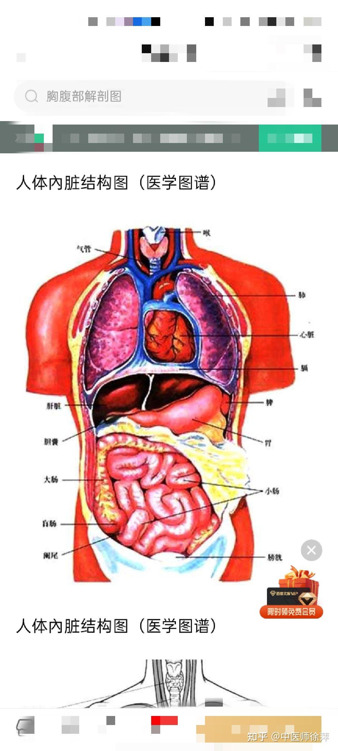 脾胃是在胸膈之上还是下
