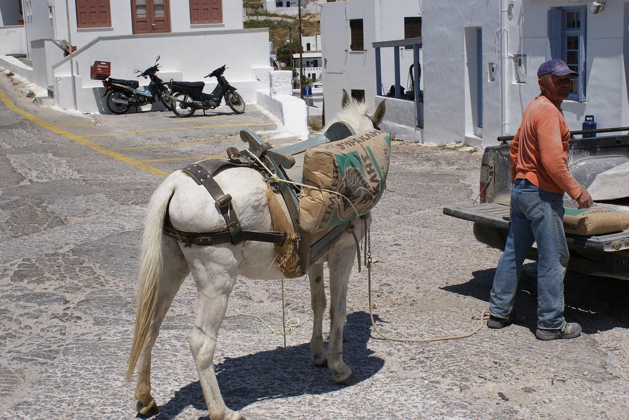 1. 驴房特色解析