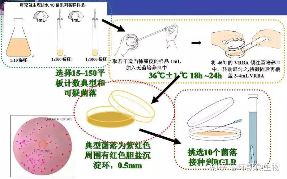 大肠菌群、粪大肠、大肠埃希氏菌检验的相关知识 - 知乎