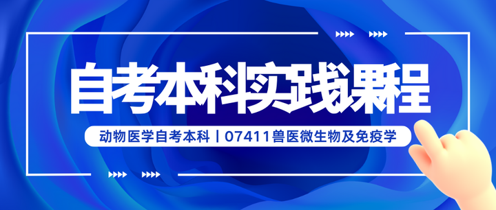 动物医学自考本科丨07411兽医微生物及免疫学实践课程报告写作- 知乎