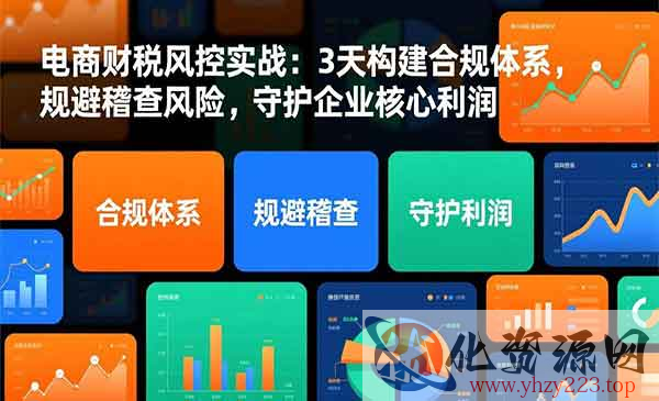 电商财税风控实战_wwz