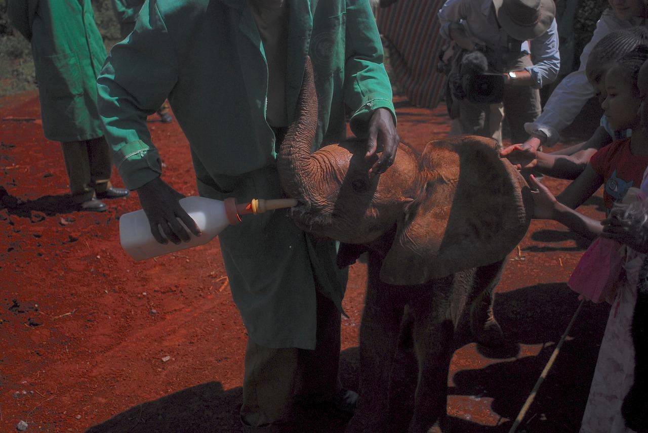 3. 奶瓶容量大小