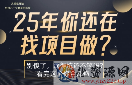 25年，你还在疯狂的找项目吗？别傻了，看完这个你都懂了【揭秘】