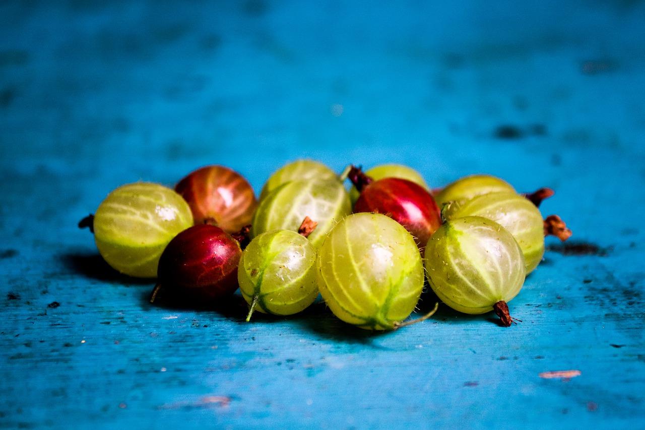 夏天适合种什么菜