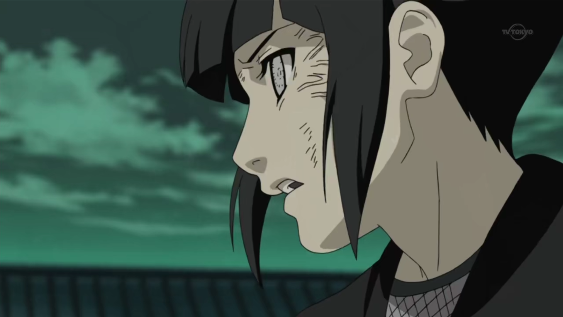 日向雏田的出场集数有哪些