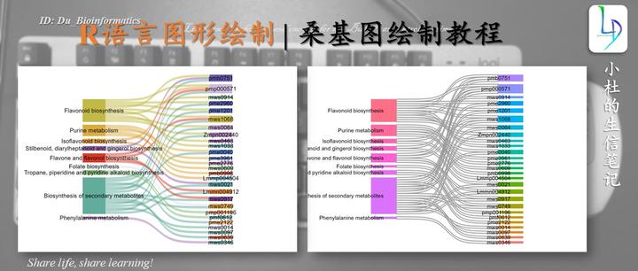 R语言绘制桑基图教程 - 知乎