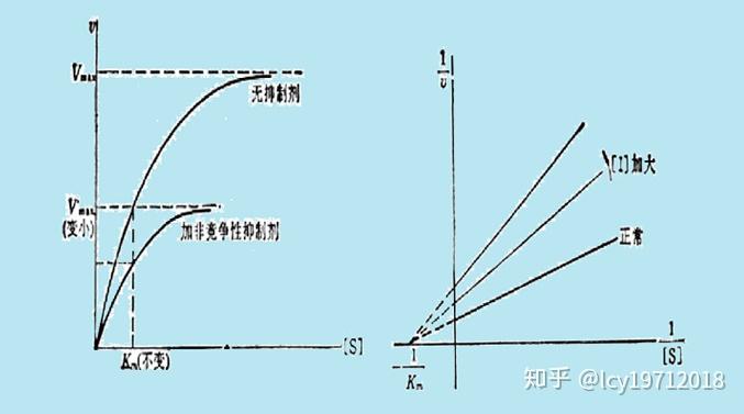 酶的抑制作用与抑制剂（三） 知乎