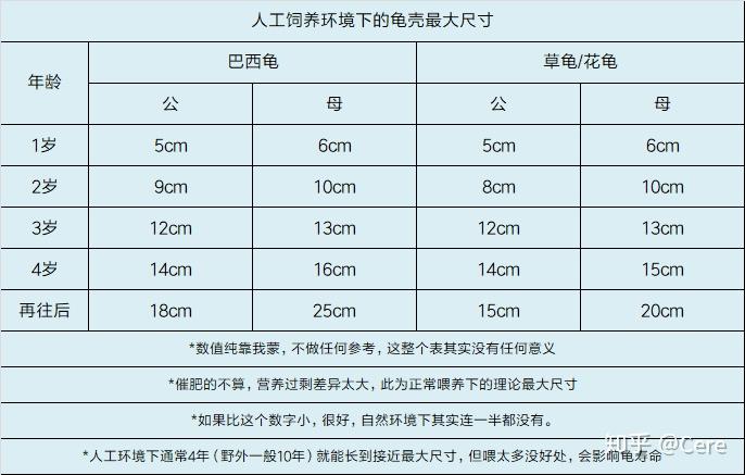 怎样看乌龟的年龄图解图片