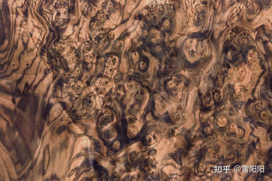 虎皮纹、雀眼纹、树瘤……谈谈实木的纹理特征 - 知乎