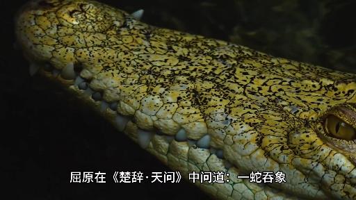 《山海经》"巴蛇食象"是什么意思?