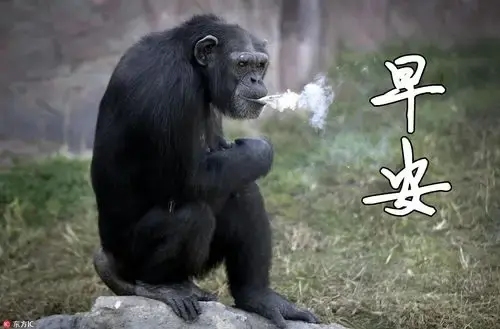 你听过最好笑的笑话是什么?? - 知乎