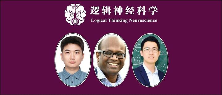 Mol Psychiatry︱复旦大学类脑智能科学与技术研究院张捷课题组揭示皮层和皮层下区域的形态学分化与儿童认知功能及精神疾病的关联 - 知乎