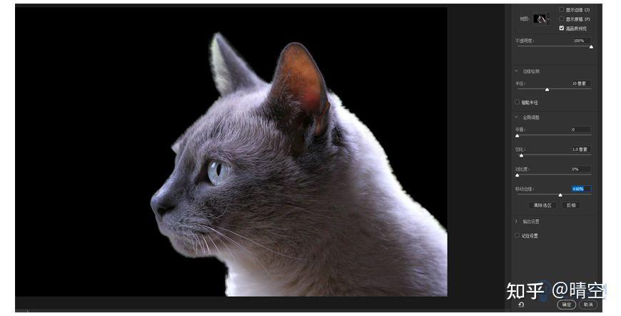 PS教程！有趣的「猫头鹰」动物合成 - 知乎