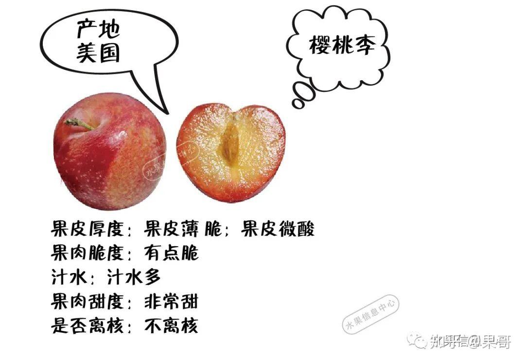 什么品种的李子好吃? - 知乎