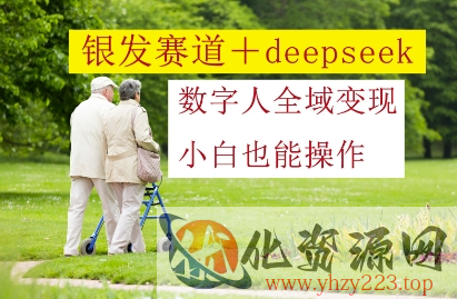 银发赛道+deepseek数字人全域变现，小白也能操作