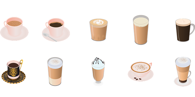 卫矛有多少和品种