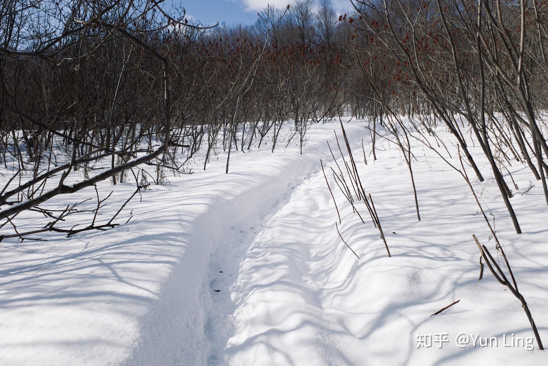 残幅机身用残幅镜头和全幅机身全幅镜头拍出来的东西一样么