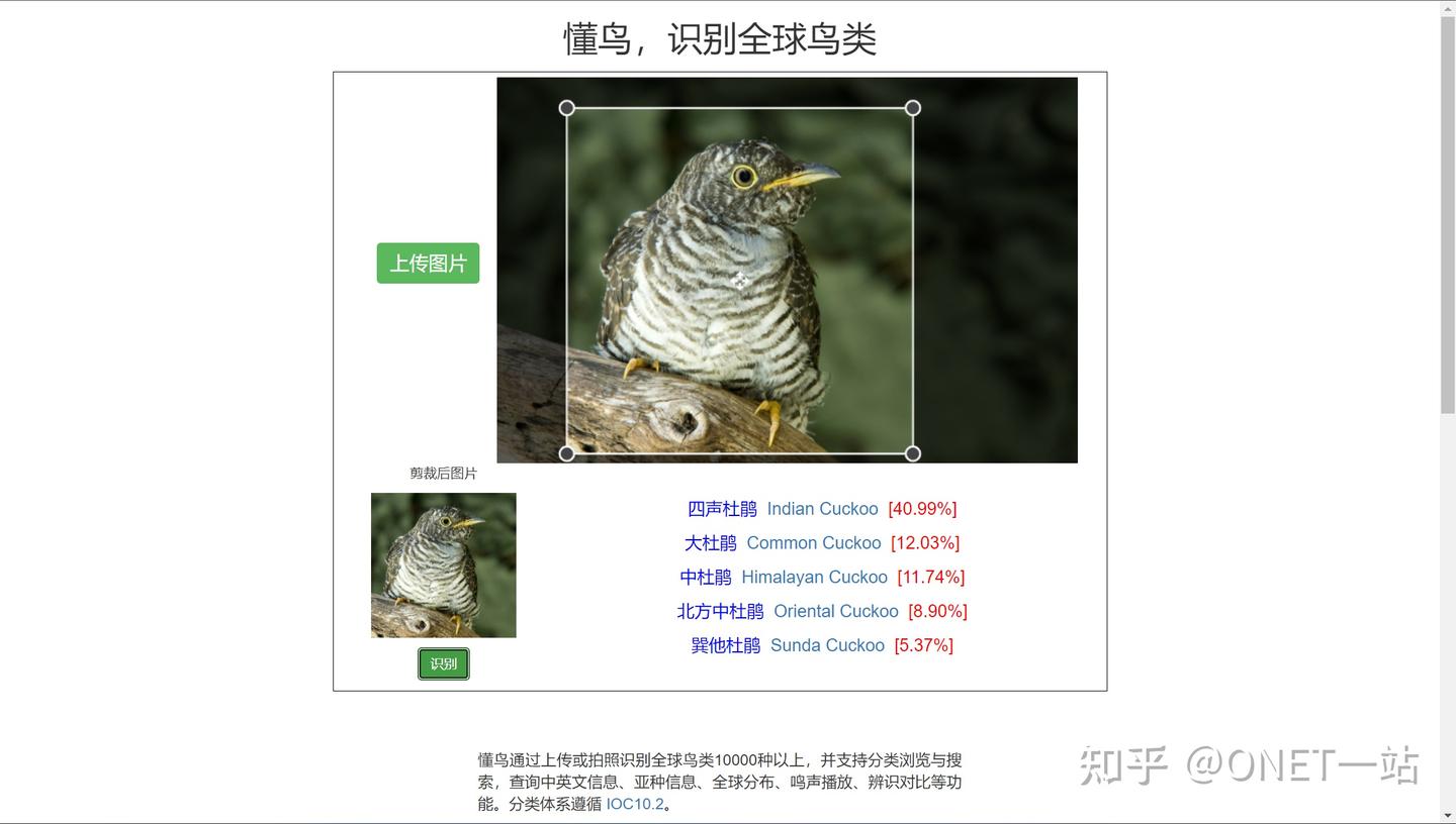 【008】懂鸟-图片识别全球鸟类,并介绍鸟类信息 - 知乎