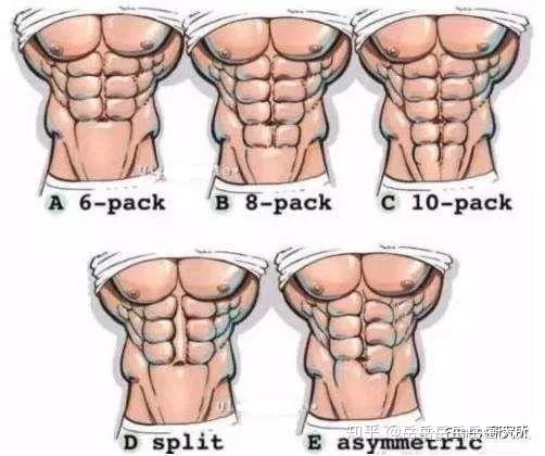 如何健身才能练出腹肌