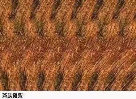 能看懂3D立体画是怎样的体验? - 知乎