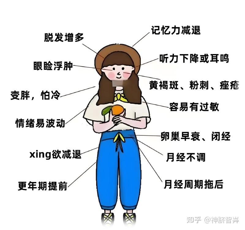女性必知的肾健康秘密，别让肾病毁了你的美丽 - 知乎