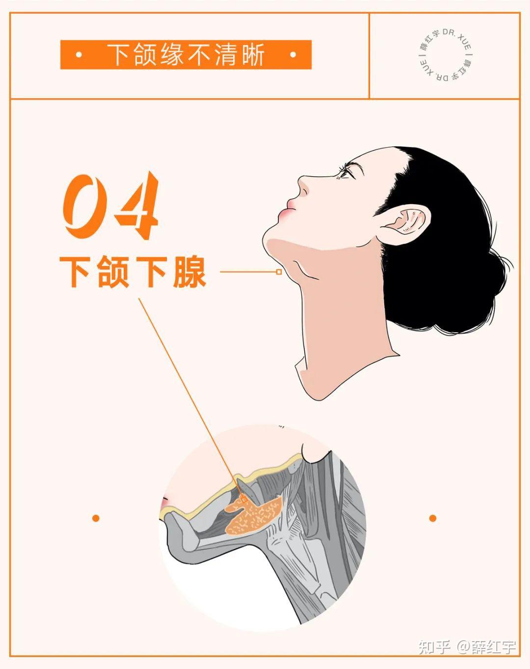 如何有效瘦双下巴